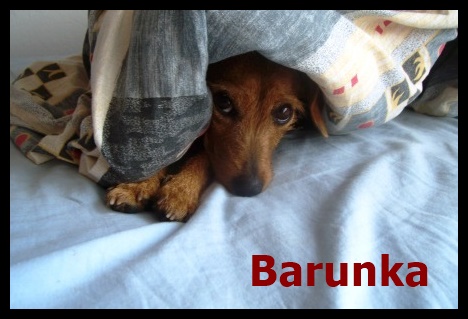 Barunka