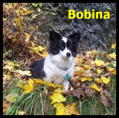 Bobinka